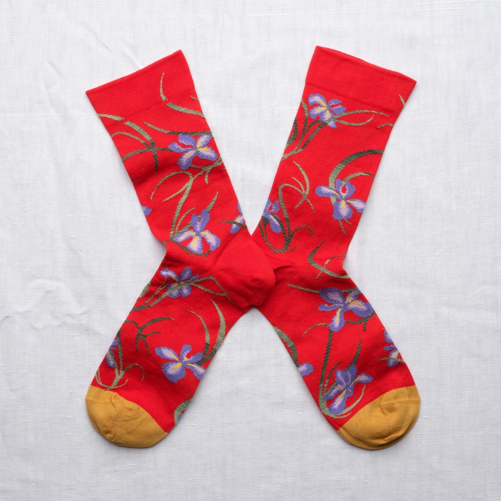 [TG201 39/41] Chaussette Iris Rouge