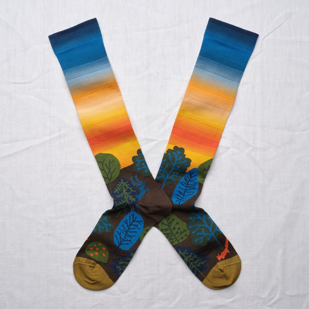 [BR903 39/41] Mi-Bas Aurore Multico