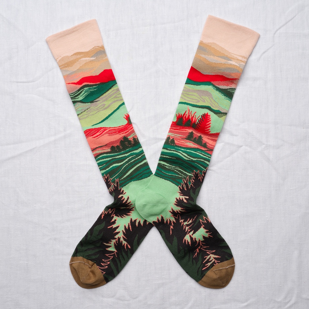 [CU903 36/38] Mi-Bas Paysage Lichen